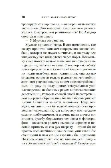 Время тишины - фото 14
