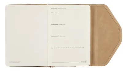 Ежедневник недат. А5+ 160л 155*220 "Пике" бежевый, кожзам, тв.переплет, метал.декор, тиснение фольгой, магнит.клапан, офсет, ляссе, подар.упаковка - фото 5