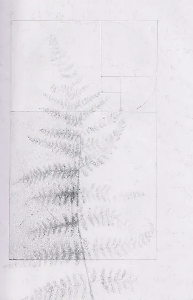 Воронежские тетради - фото 3