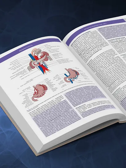 Основы клинической анатомии. Иллюстрированный атлас нозологий и патологий - фото 8