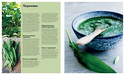 Нордическая кухня. Кулинарные шедевры с северным характером - фото 7