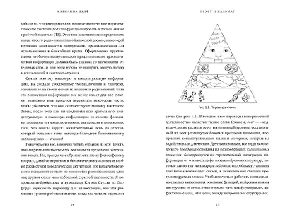 Пруст и кальмар. Нейробиология чтения - фото 4