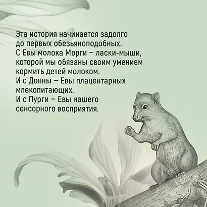 ЕВА. История эволюции женского тела. История человечества - фото 5