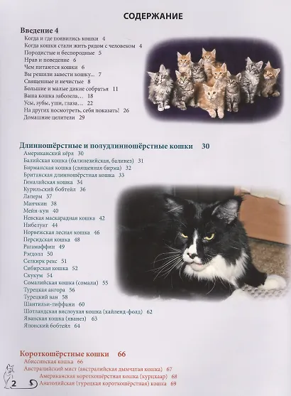 Энциклопедия о кошках - фото 2