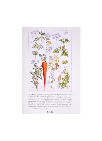Ботанический атлас. Карл фон Гофман - фото 5
