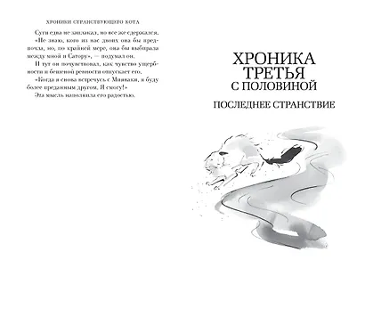 Хроники странствующего кота - фото 15