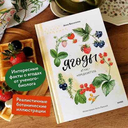 Ягоды. Атлас-определитель - фото 5