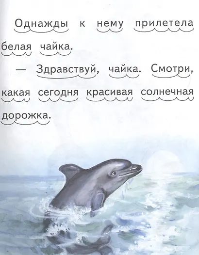 Дельфиненок и чайка - фото 4