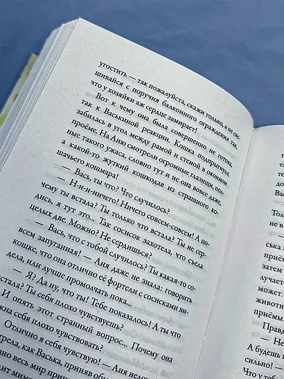 Счастье обыкновенного говорящего кота Мяуна - фото 13