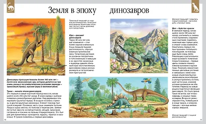 Динозавры - фото 4