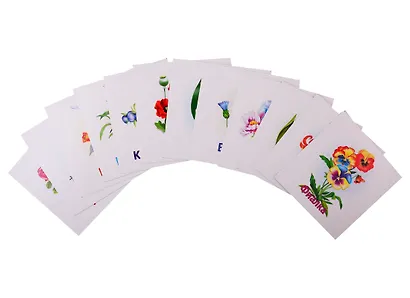 Цветы. Развивающие карточки - фото 2