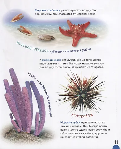 Подводный мир (Первая энциклопедия) - фото 6