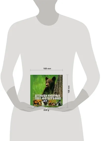 Детеныши животных. 1001 фотография - фото 2