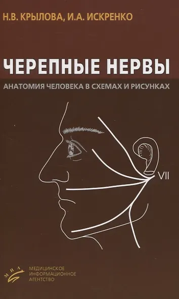 Черепные нервы. Анатомия человека в схемах и рисунках - фото 1