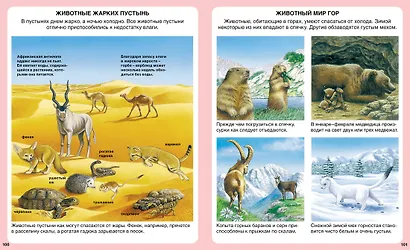 Чудесная планета - фото 6