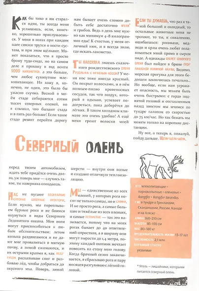 Север - фото 3