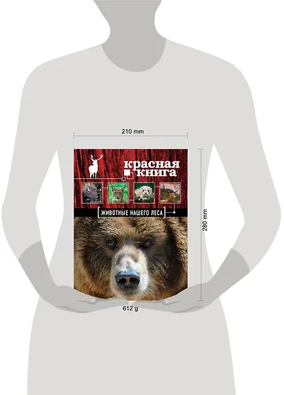 Красная книга. Животые нашего леса - фото 3