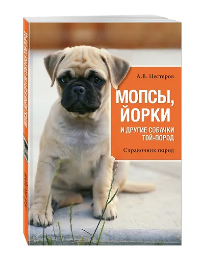 Мопсы, йорки и другие собачки той-пород - фото 3