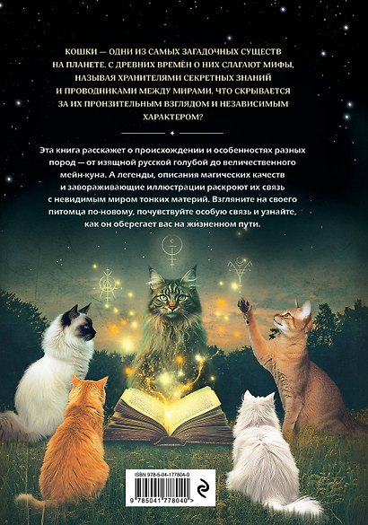 Кошки. Удивительные породы и их секреты - фото 2