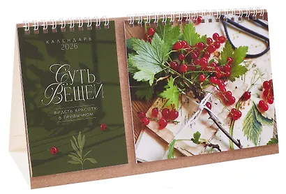 Календарь 2026г 216*147 "Суть Вещей" настольный, домик - фото 2