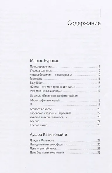 «А что если бог — это чайка». Книга I - фото 2