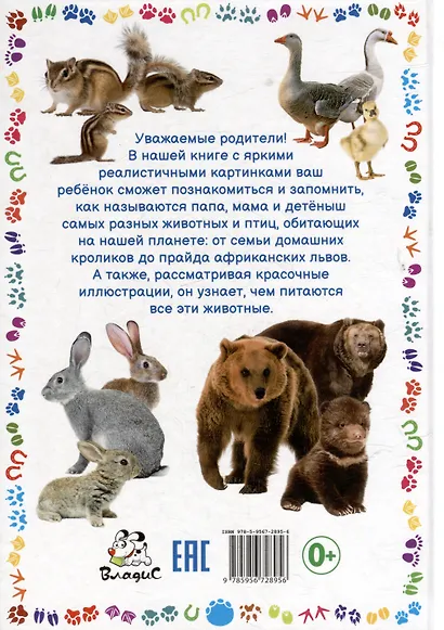 Животные и их детёныши. Книга для самых маленьких - фото 2