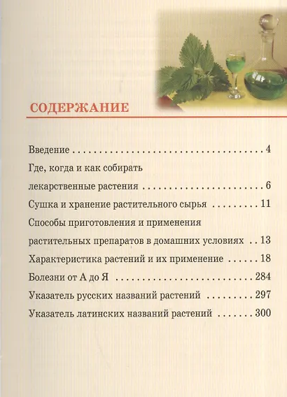 Дикорастущие лекарственные растения средней полосы - фото 2