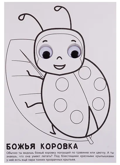 РАСКРАСКА А4 с глазками 22мм. ПРО БУКАШЕК - фото 3