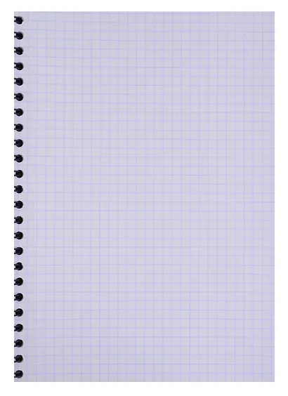 Тетрадь в клетку Erich Krause, Megapolis, 80 листов - фото 2