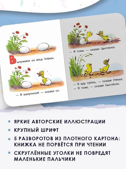 Цыпленок и утенок - фото 5