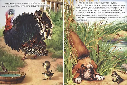 Гадкий утёнок. По мотивам сказки Г.Х. Андерсена - фото 4