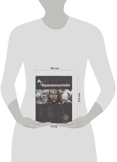 Франкенштейн. Книга 1. Мертвая армия - фото 2
