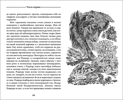 Моя семья и другие звери - фото 4