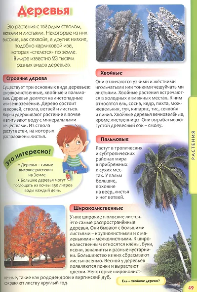 Обо всем на свете для дошкольников. Детская энциклопедия - фото 7