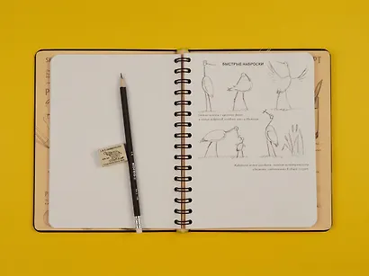 «SketchBook: Визуальный экспресс-курс по рисованию», чёрный - фото 5
