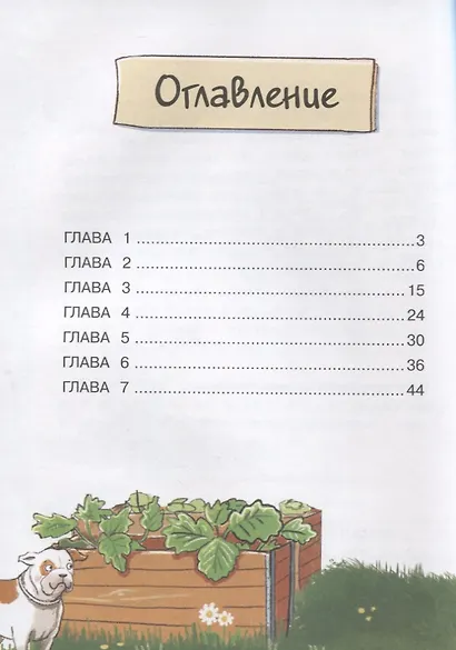 Бюро желаний. Сад под облаками - фото 2