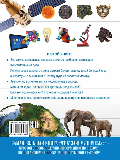 Самая Большая Книга Что? Зачем? Почему? - фото 2