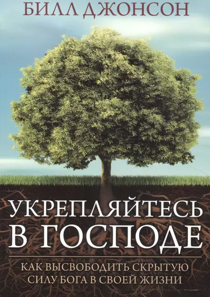 Укрепляйтесь в Господе. (Как высвободить скрытую силу Бога в свей жизни) - фото 1