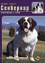 Сенбернар. Содержание и уход. - фото 1