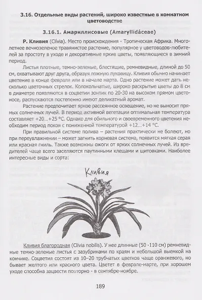 Секреты «домашних» растений: мифы и реальность - фото 7