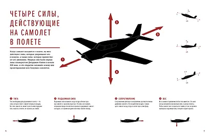 Авиация: Инфографика полета - фото 4