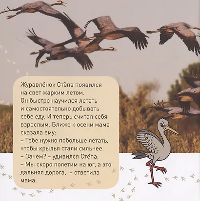 Кто как зимует? - фото 2