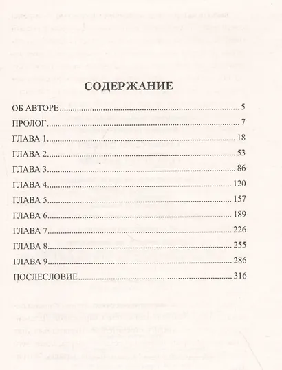 Сова летит на север - фото 2