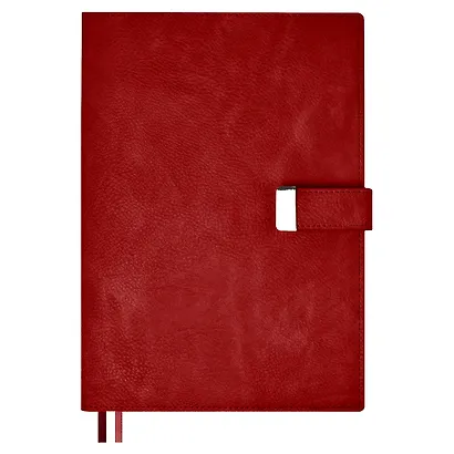 Ежедневник недат. А5+ 160л 170х245 "Шеврет" красный, иск.кожа, мягкий переплет, съемная обл., офсет, ляссе, подар.карт.коробка - фото 2