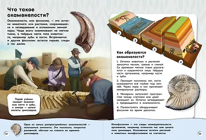 Большая книга динозавров. Вопросы и ответы - фото 5