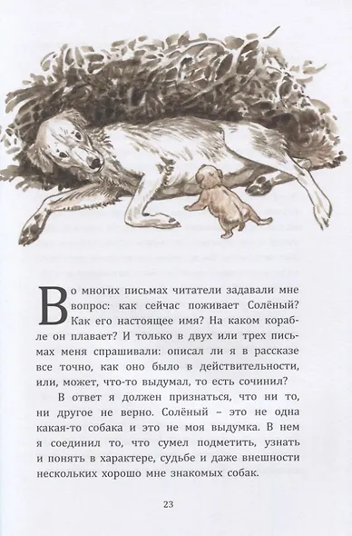 Жила на свете собака. Рассказы - фото 4