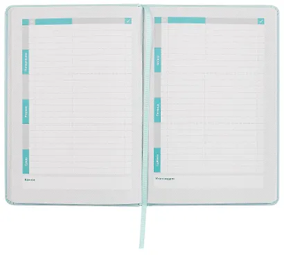 Дневник школьный Феникс+, "Плонже мятный" - фото 7