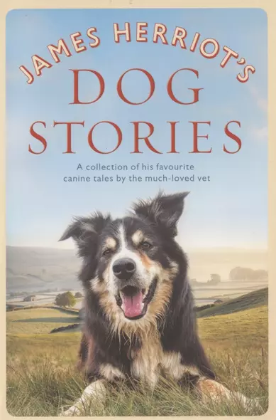 James Herriot’s. Dog Stories - фото 1