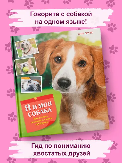 Я и моя собака. Как понять питомца и стать ему другом - фото 3