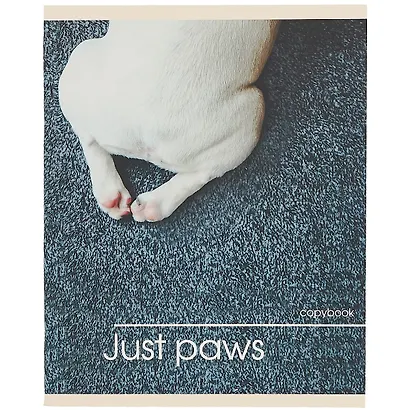 Тетрадь в клетку Listoff, "Лапки", 48 листов, в ассортименте - фото 5